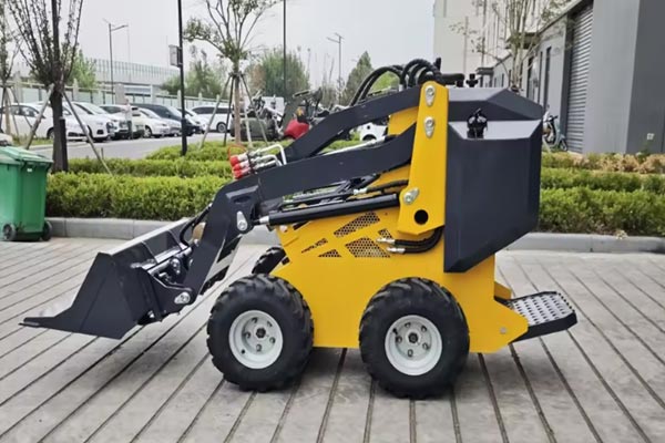 කුඩා පැටවුමක කාර්යයන් මොනවාද?